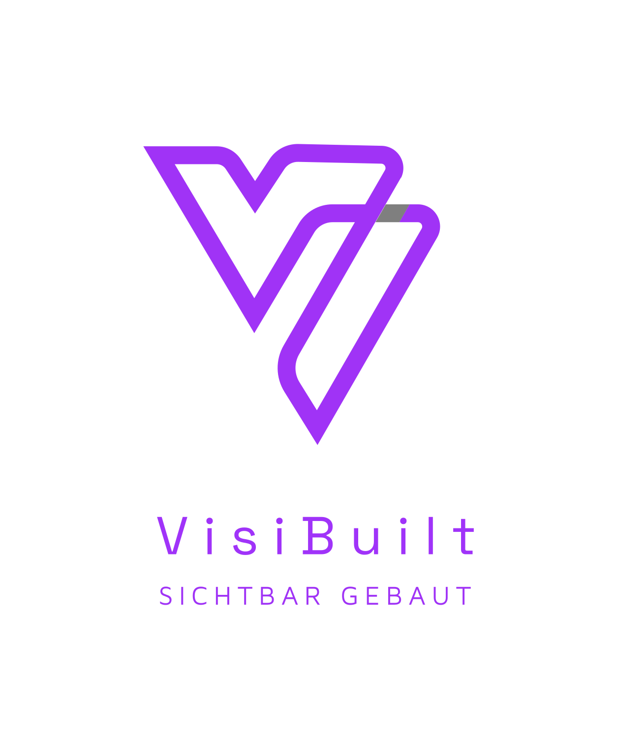 VisiBuilt Logo